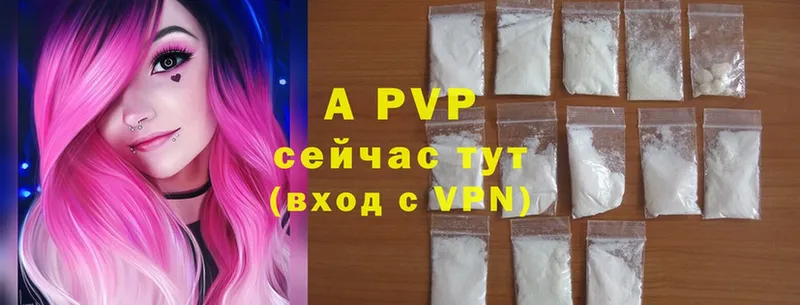 A PVP СК  Ярославль 