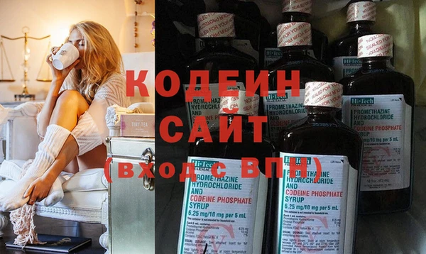 ECSTASY Тайга