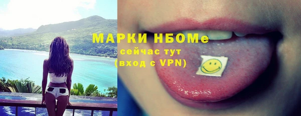 ECSTASY Тайга