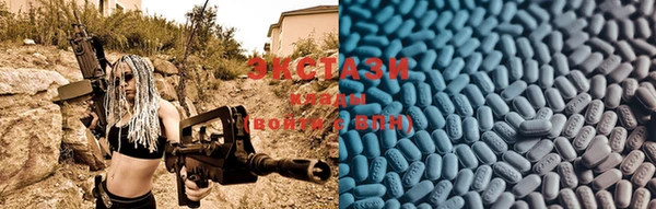ECSTASY Тайга