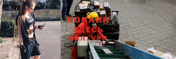 гидропоника Сясьстрой