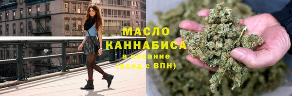 ECSTASY Тайга