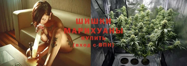 ECSTASY Тайга
