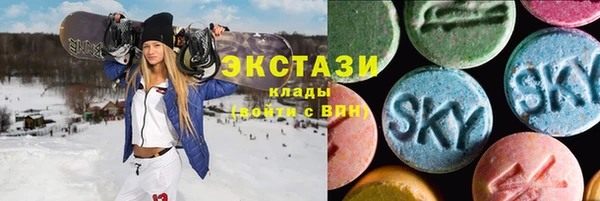 ECSTASY Тайга