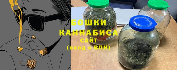 индика Малоярославец