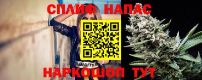 бошки Будённовск