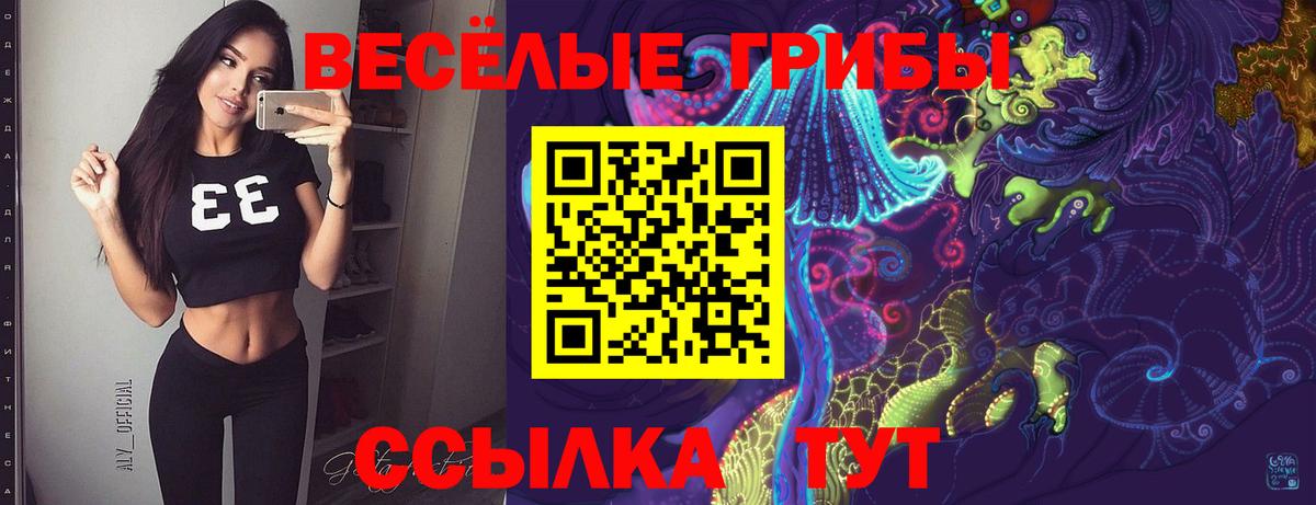 Галлюциногенные грибы Psilocybine cubensis  Псилоцибиновые грибы Cubensis  Ярославль  Вход с VPN 