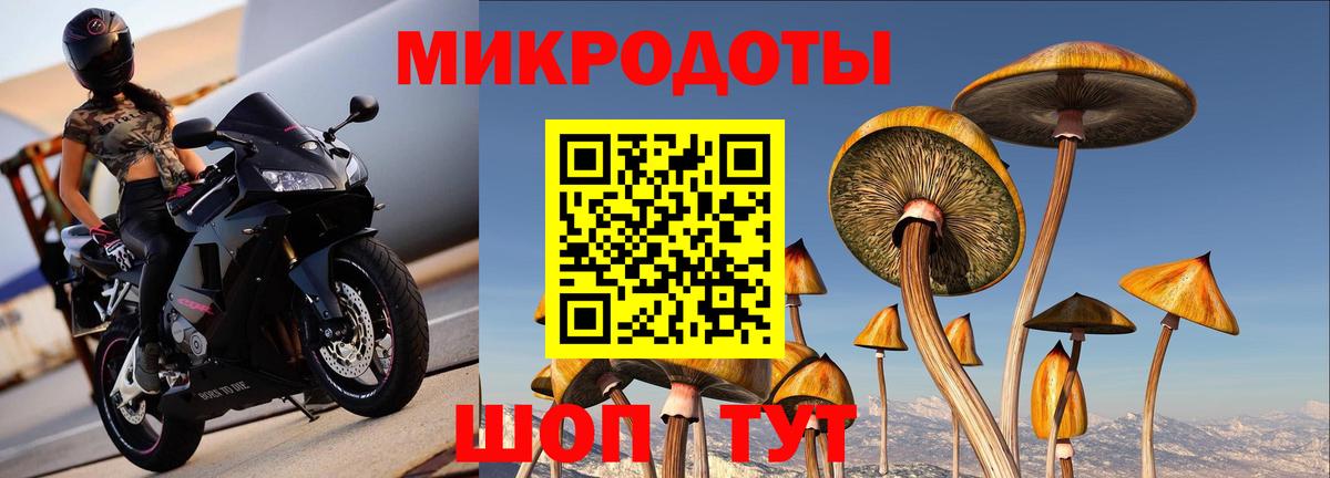 Псилоцибиновые грибы MAGIC MUSHROOMS  Ярославль 